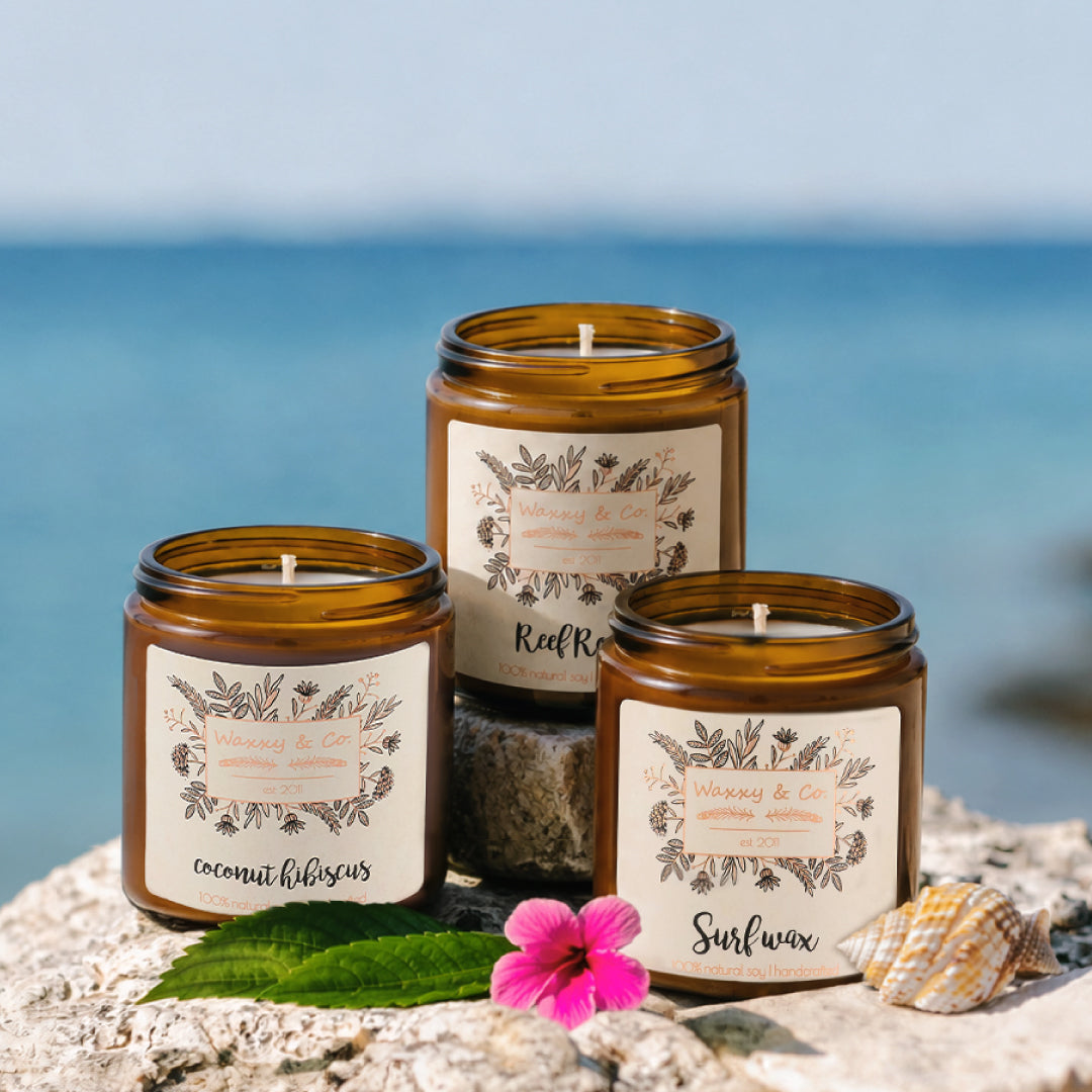 Summer Favorites Bundle